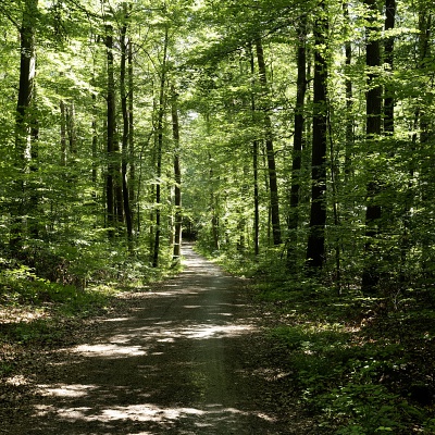 Natur